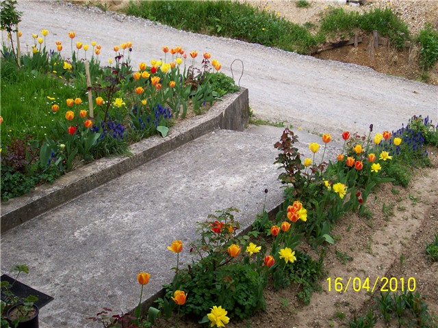 Moj cvjetni vrt